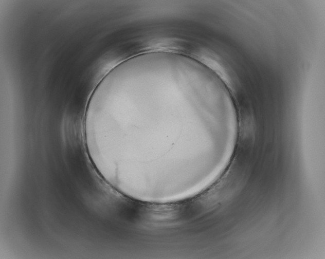 X0000111811338200908201103