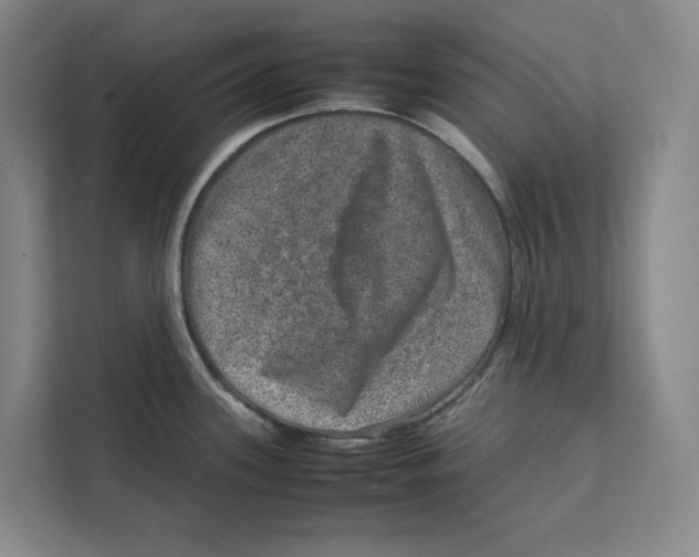 X0000111811339200908201103