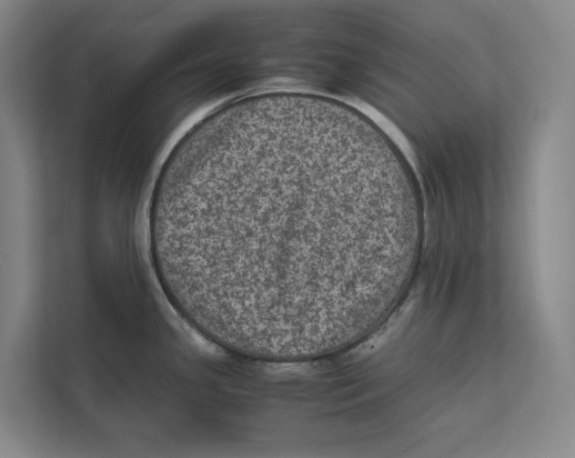 X0000111811341200908201103