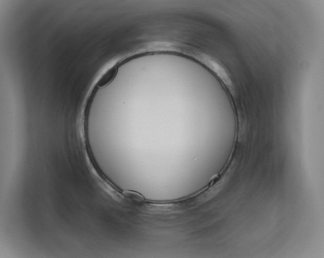X0000111811342200908201103
