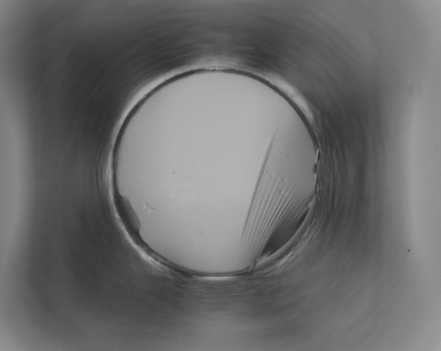 X0000111811343200908201103