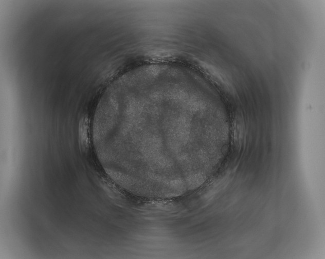 X0000111811346200908201102
