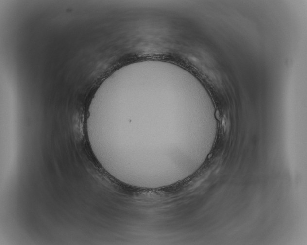 X0000111811348200908201102