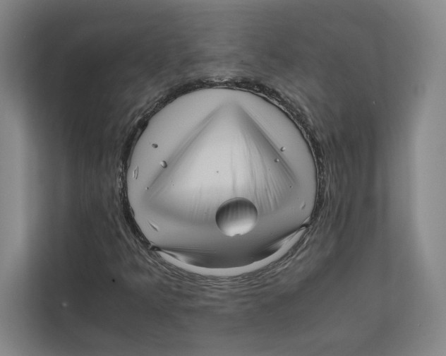 X0000111811349200908201102