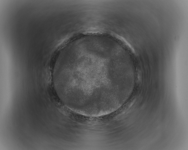 X0000111811350200908201102