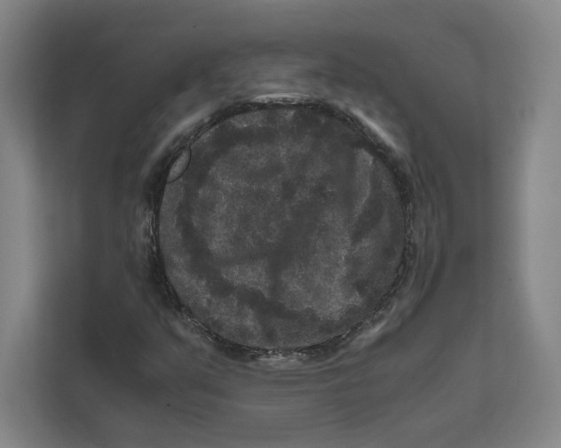X0000111811351200908201102