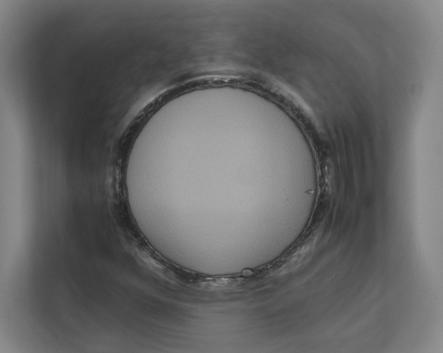 X0000111811352200908201102