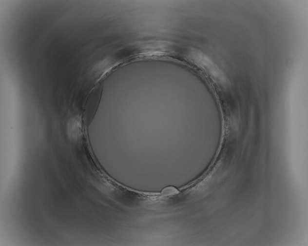 X0000111811353200908201102