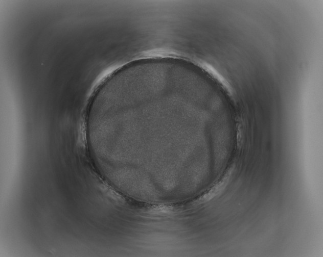 X0000111811358200908201102