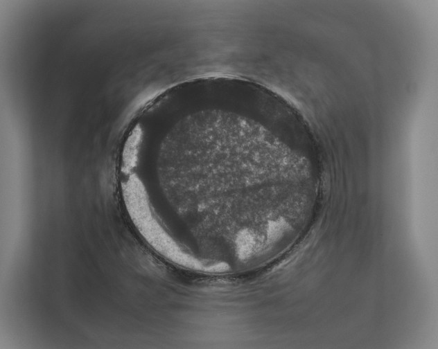 X0000111811359200908201102