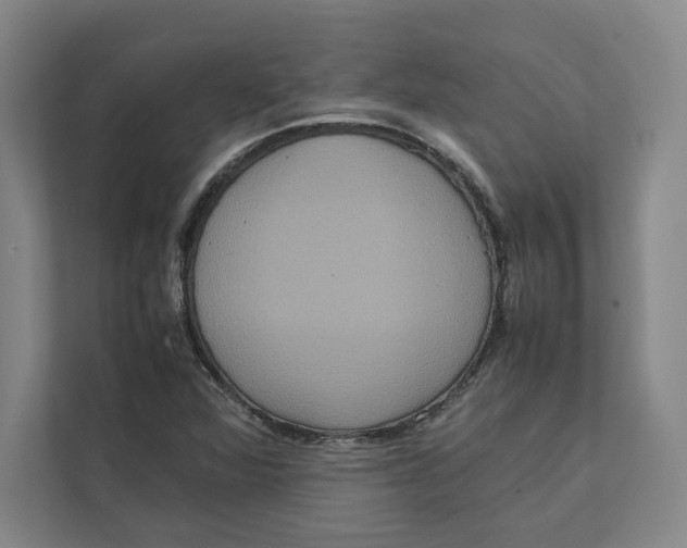 X0000111811360200908201102