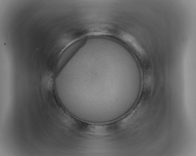 X0000111811361200908201102