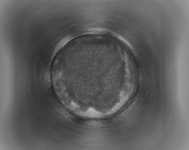 X0000111811362200908201102