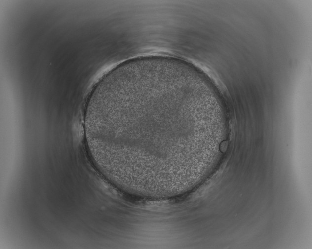 X0000111811363200908201102