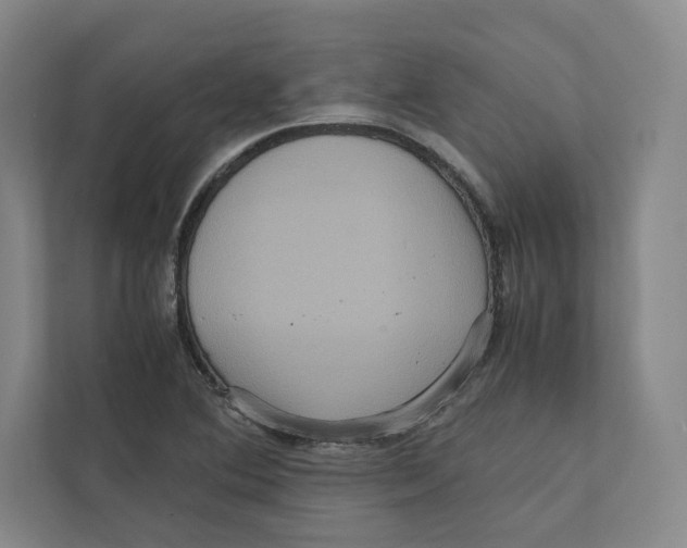 X0000111811364200908201102