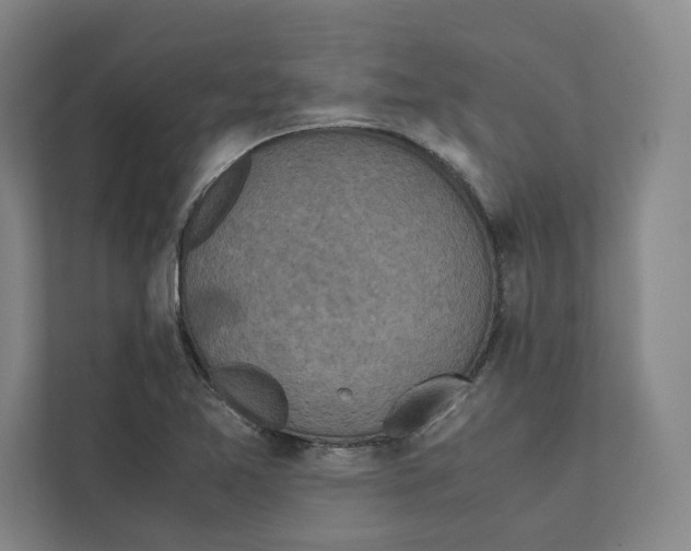 X0000111811365200908201102
