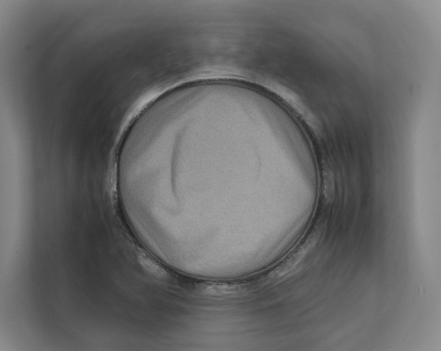 X0000111811366200908201102