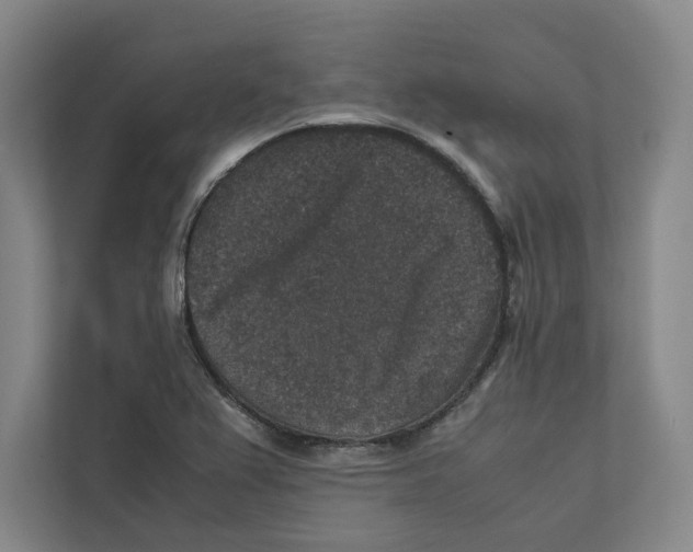 X0000111811367200908201102