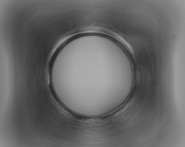 X0000111811368200908201102