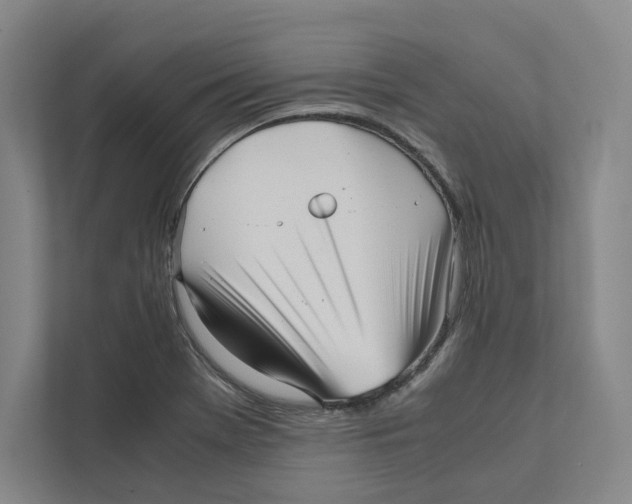 X0000111811369200908201102