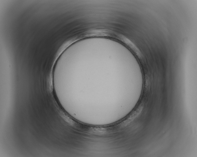 X0000111811370200908201102