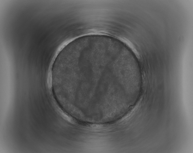 X0000111811371200908201102