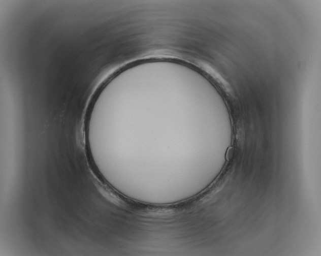 X0000111811372200908201102