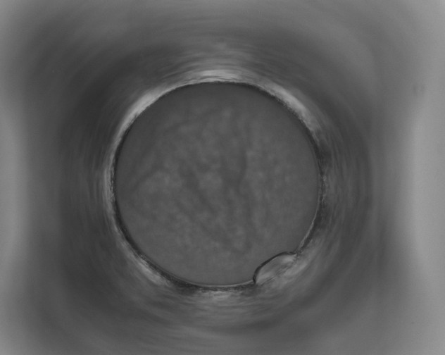 X0000111811373200908201102