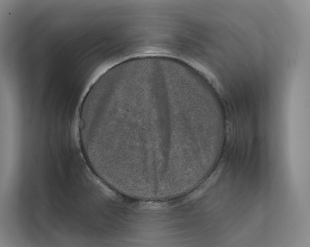 X0000111811374200908201102