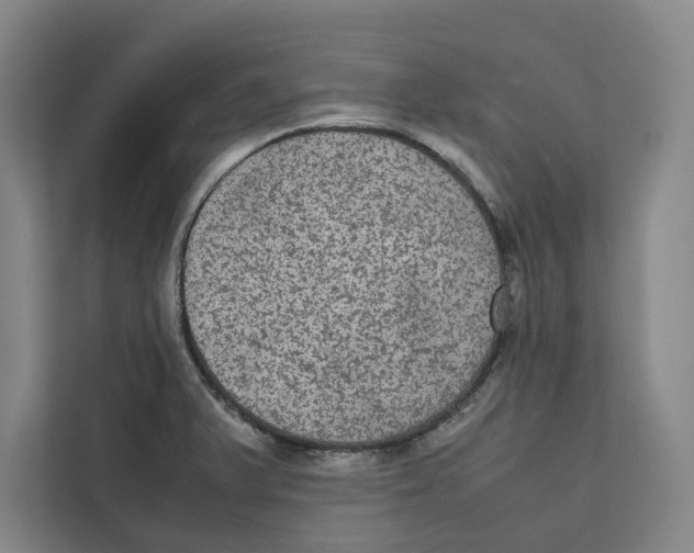 X0000111811375200908201102