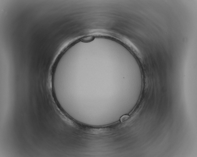 X0000111811376200908201102