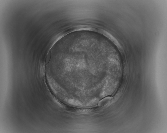 X0000111811377200908201101