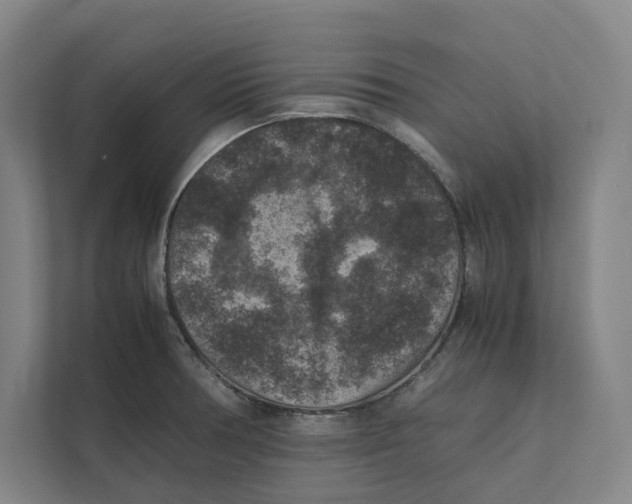 X0000111811378200908201101