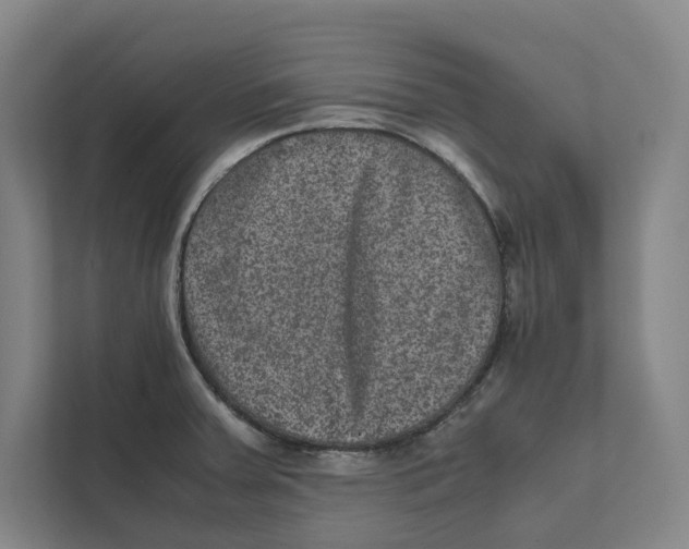 X0000111811379200908201101