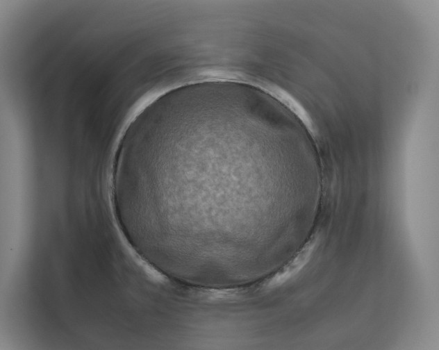 X0000111811381200908201101