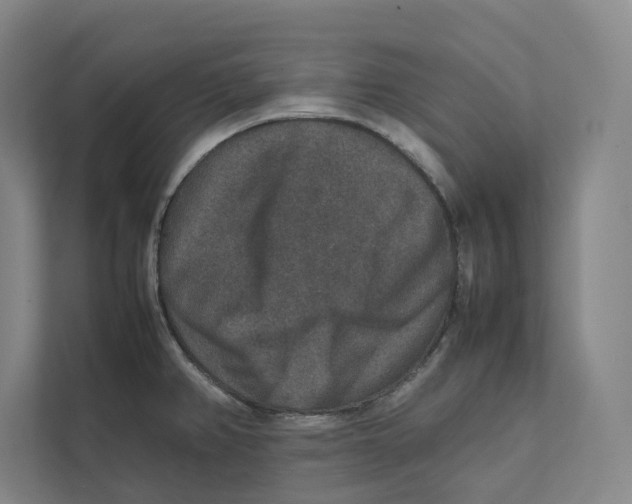 X0000111811382200908201101