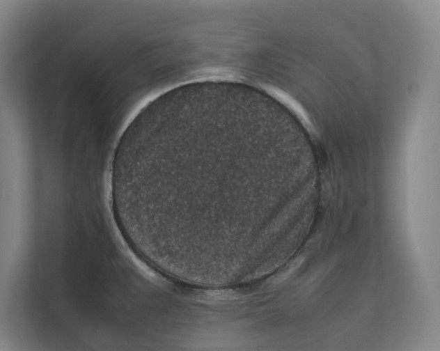X0000111811383200908201101