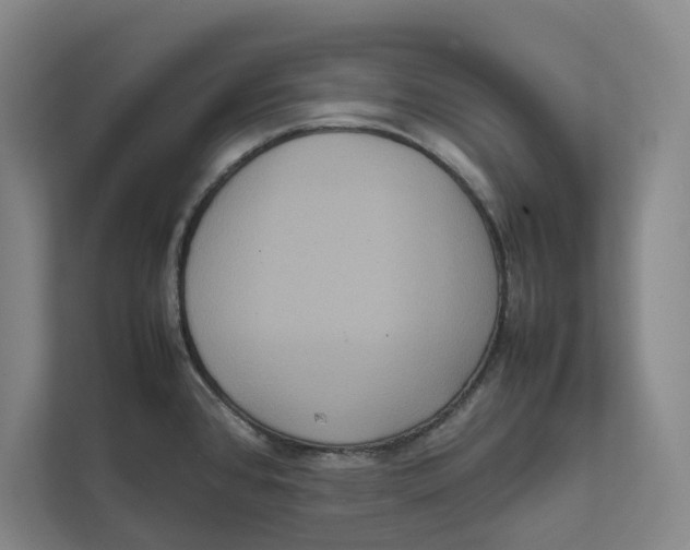 X0000111811384200908201101