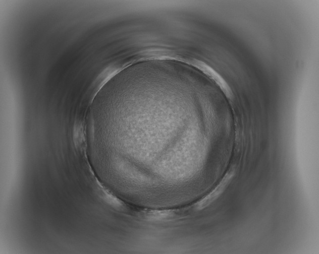 X0000111811385200908201101