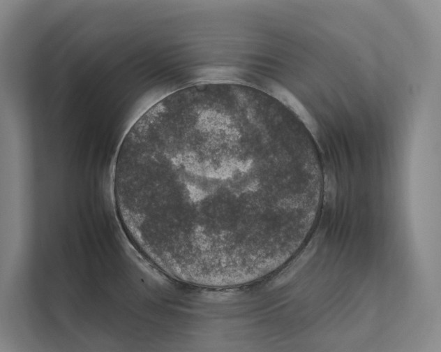 X0000111811386200908201101
