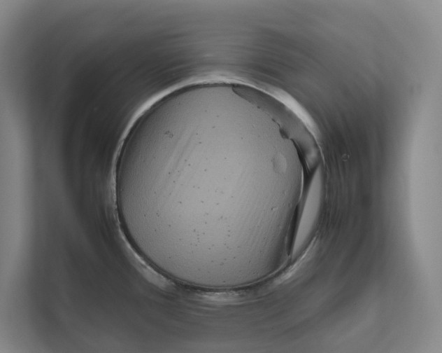 X0000111811388200908201101