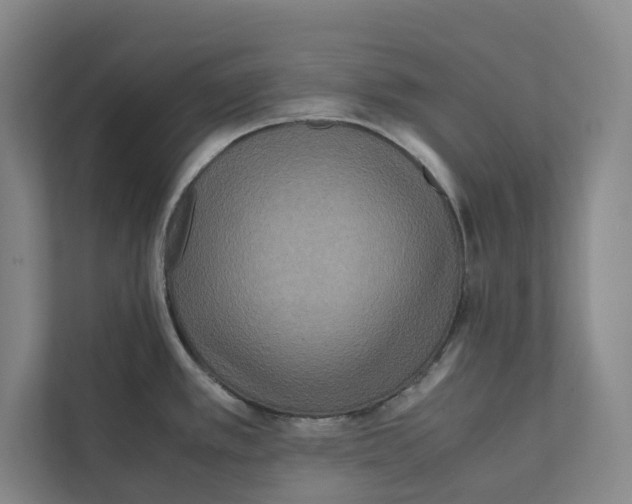 X0000111811389200908201101