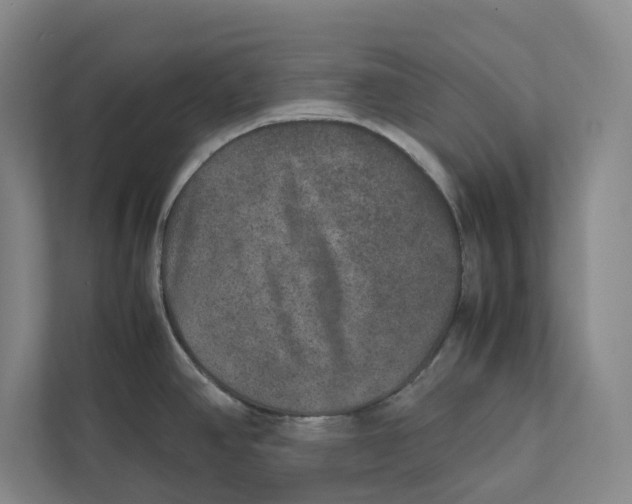 X0000111811390200908201101
