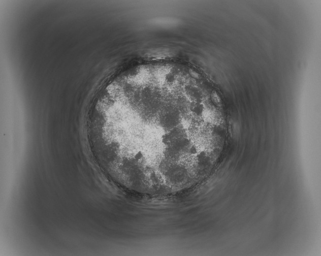 X0000111811393200908201101