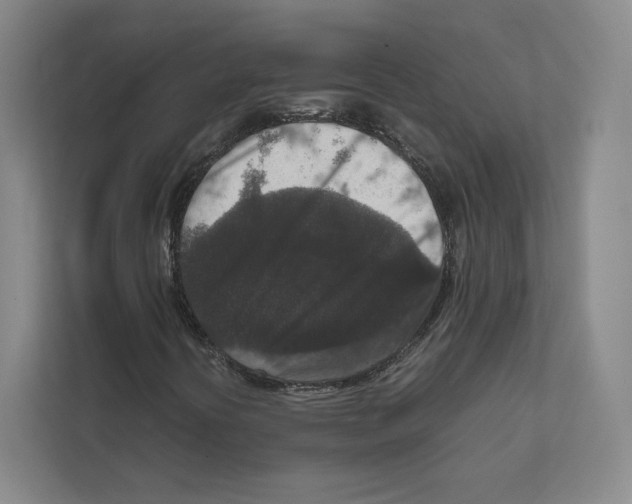 X0000111811394200908201101