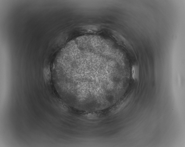 X0000111811395200908201101