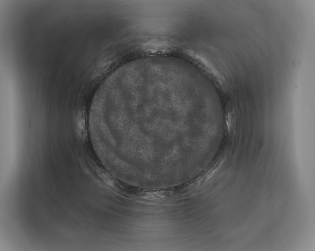 X0000111811396200908201101