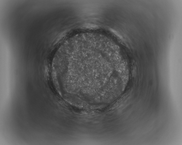 X0000111811397200908201101