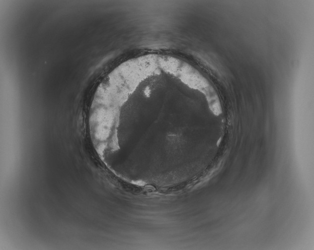 X0000111811398200908201101