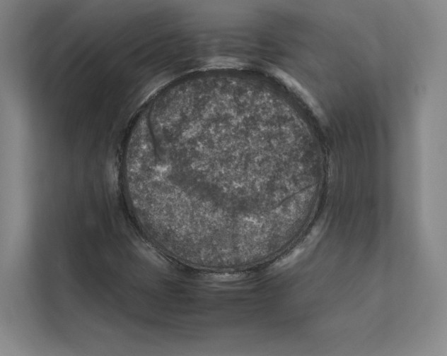 X0000111811401200908201101